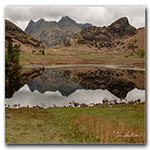 Blea Tarn