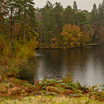 Tarn Hows