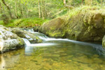 Part of Aira Force