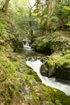 Part of Mill Beck Buttermere